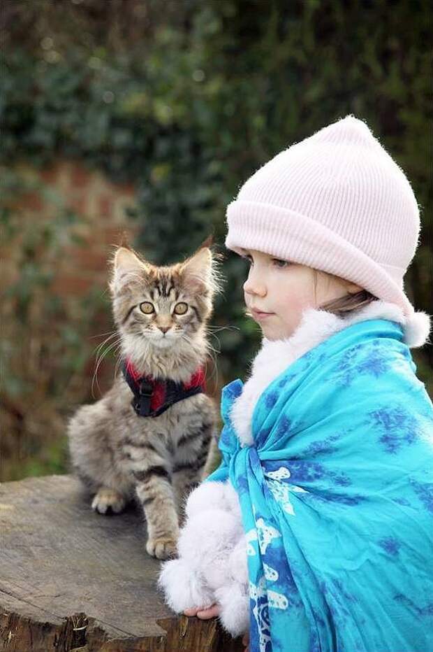 IrisandThula18 Как кошка Тула помогает девочке с аутизмом