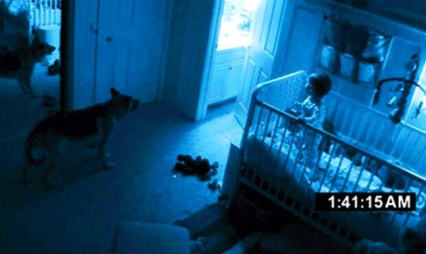 7 видео и фото, на которых домашние животные видят невидимые человеку вещи
