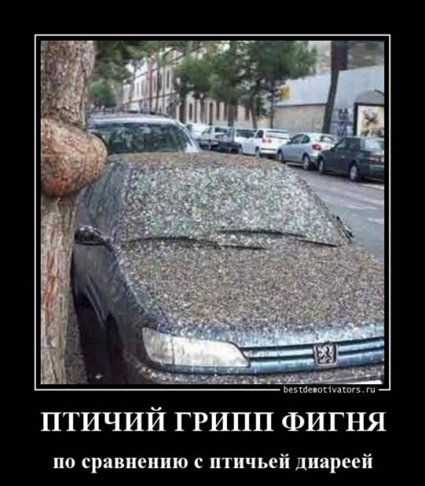 Свежие демотиваторы (17 шт)