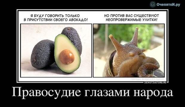 Разберись в политике 6