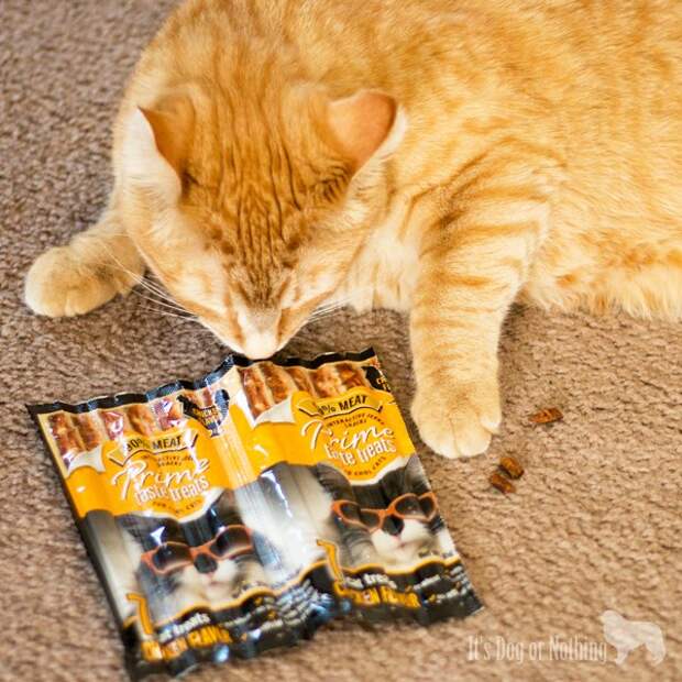 Pet Paw-Looza | Prime Taste Treats