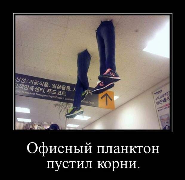 Демотиваторы