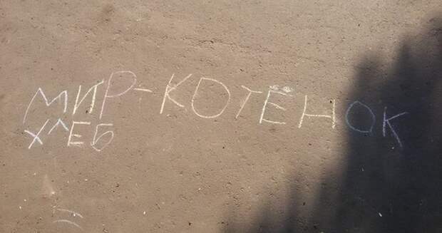 Прикольные картинки (92 фото)