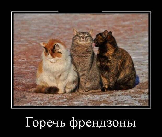 Демотиваторы (30 фото)