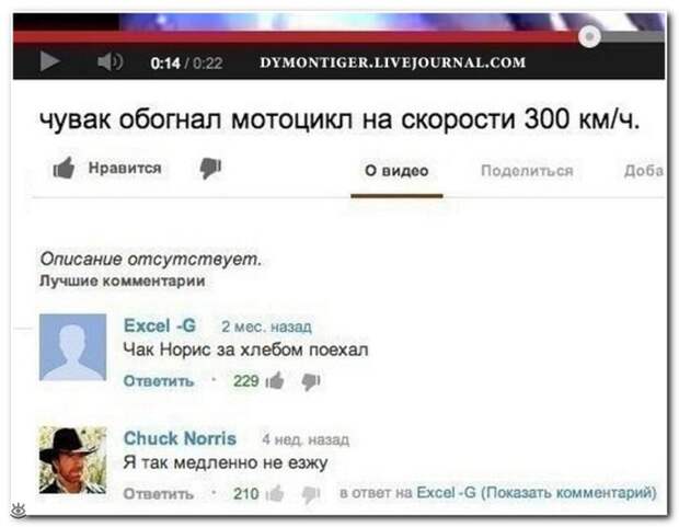 Весёлые надписи из соцсетей 18