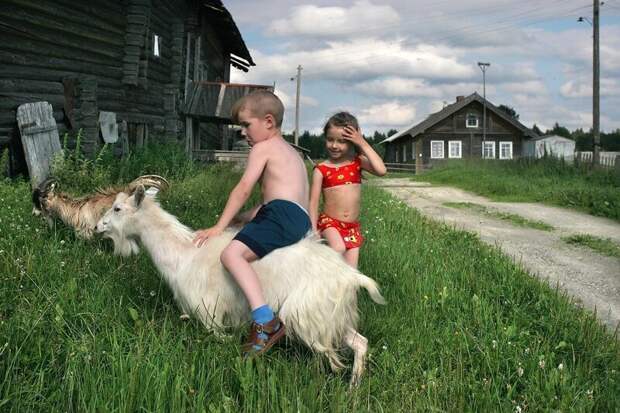 Каникулы в деревне детство, каникулы, фото