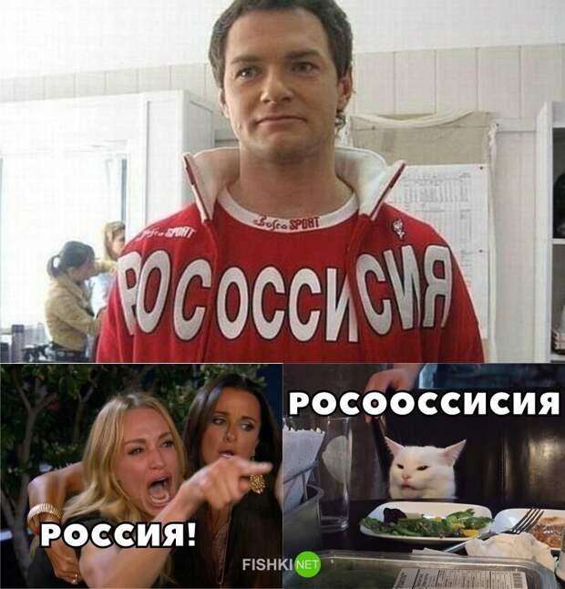 И снова всё опровергающий котик И снова всё опровергающий котик