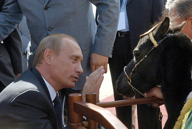 Владимир Путин с мини-лошадкой по имени Вадик