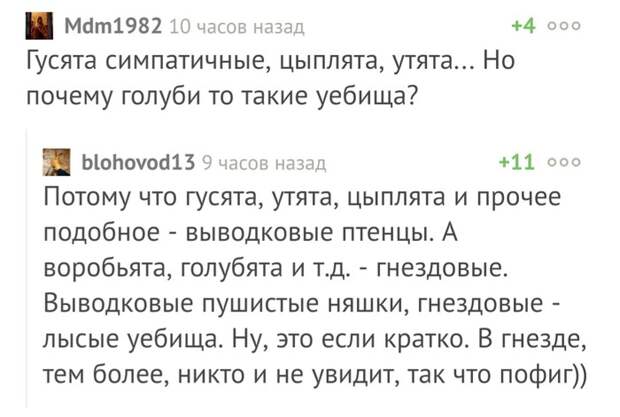 Понятно? Понятно?