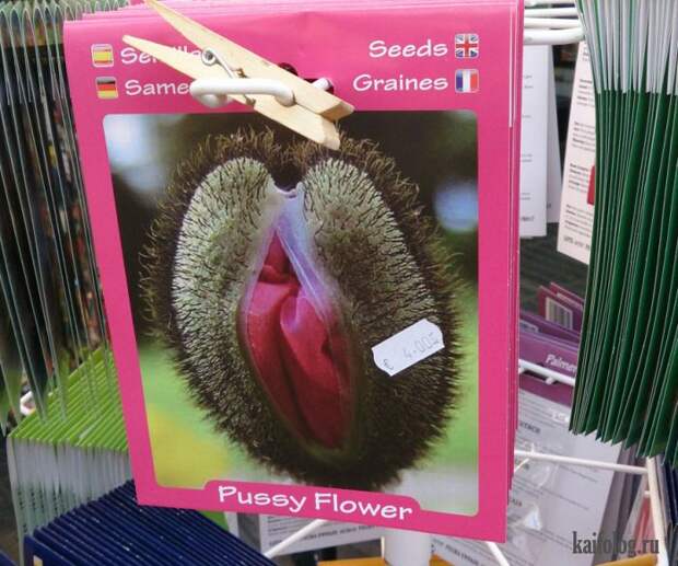 Прикольные семена (35 фото)