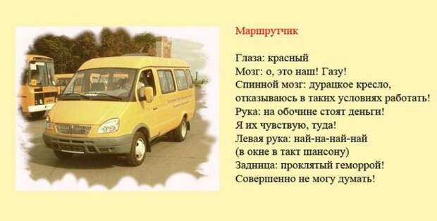 Смешная классификация водителей (8 фото) Смешная классификация водителей (8 фото)