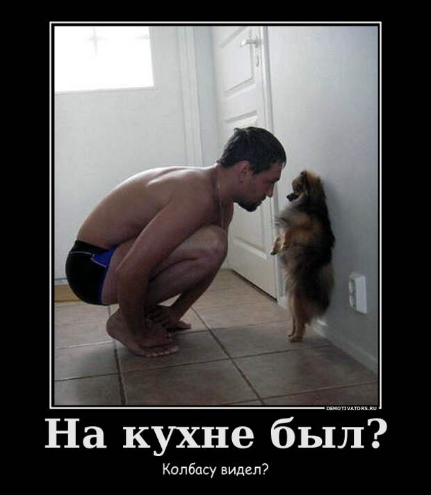Похожее изображение