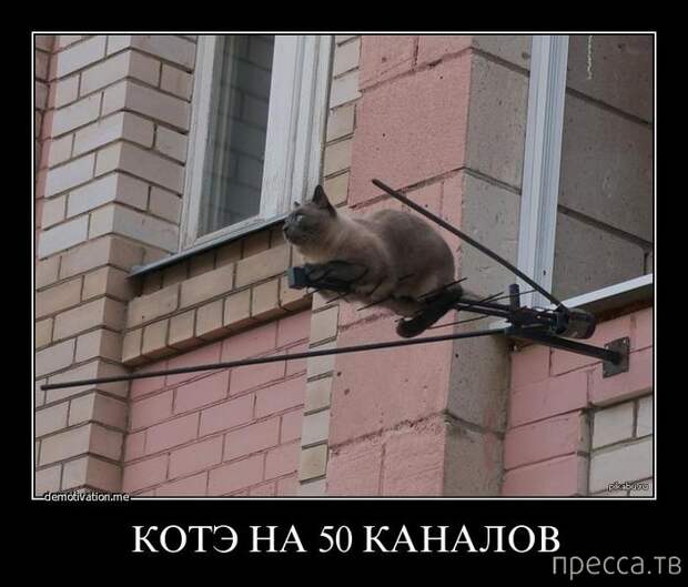 Демотиваторы со смыслом, часть 37 (41 фото)