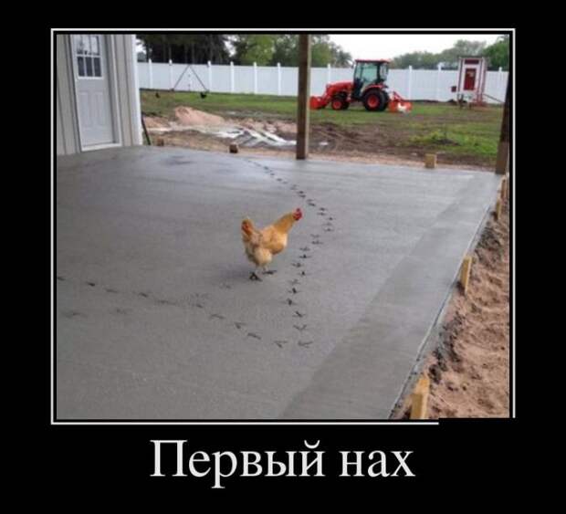 Демотиваторы Демотиваторы