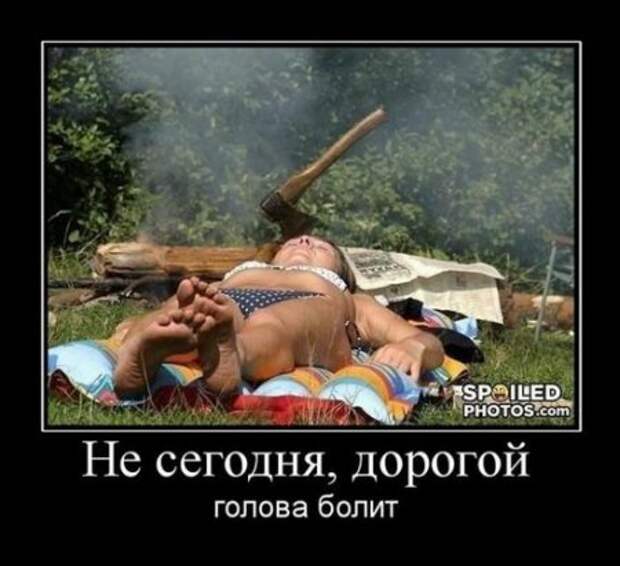 Демотиваторы, юмор дня, фотки с прикольными подписями.