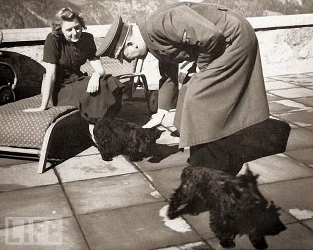 Гитлер и Ева Браун со своими шотландскими терьерами.