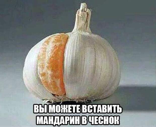 Смешные картинки с надписями прикол, юмор