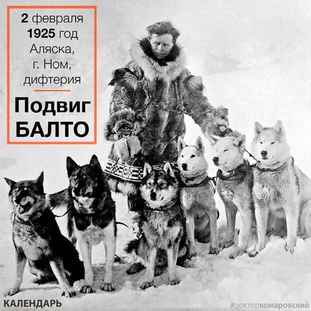 Подвиг Балто Подвиг Балто аляска, анкоридж, балто, дифтерия, подвиг