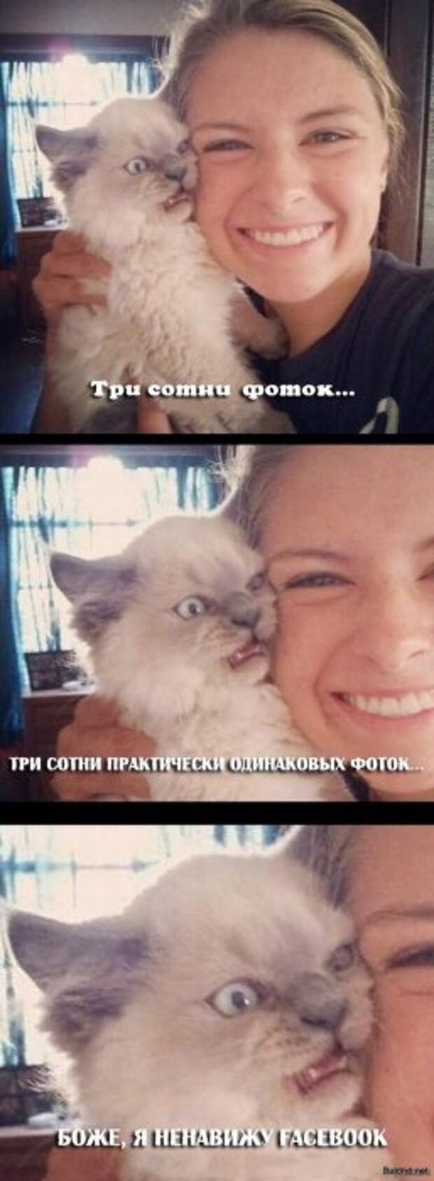 Смешные комиксы и приколы. Подборка картинок