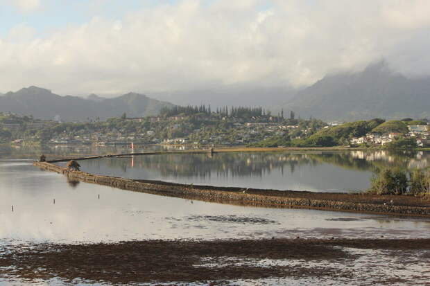 The He'eia Fishpond.