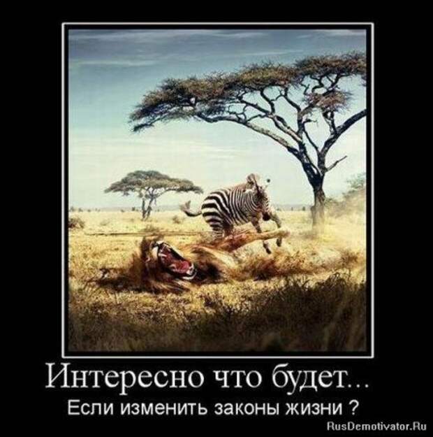 Демотиваторы серьезные, читать под настроение.