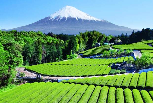 Ландшафт горы Фудзи (Fuji)