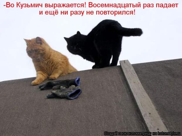 Котоматрица №33