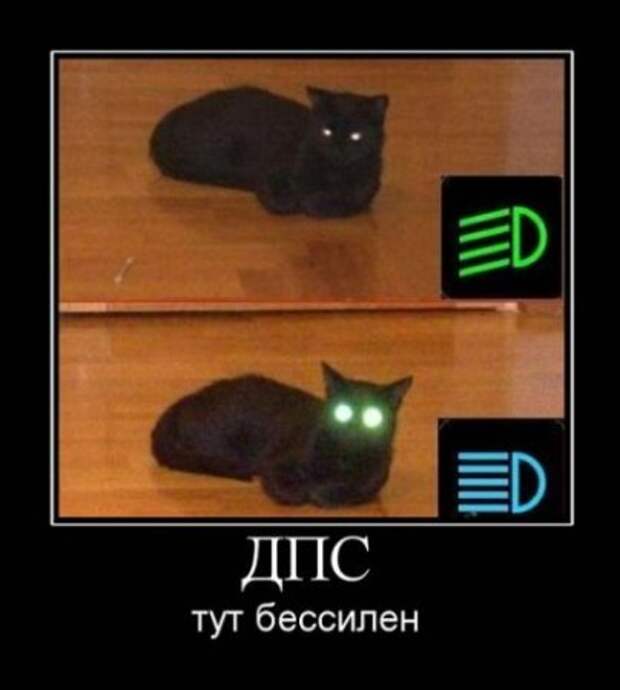 Демотиваторы, смешные приколы.
