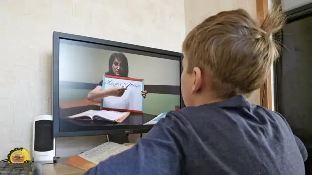 Учитель прокомментировал предложение ввести стандарт дистанционного урока