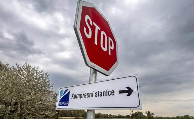 https://svpressa.ru/p/34/341/341680/l-341680.jpg?v=1659188467