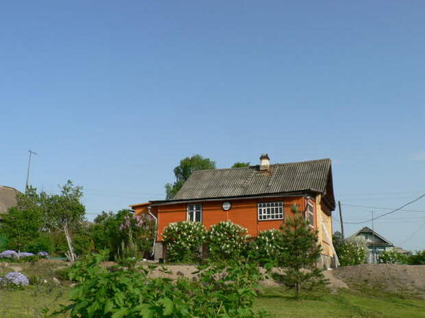 конец мая конец мая