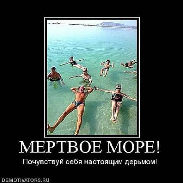 Смешные демотиваторы, веселые картинки с надписями!