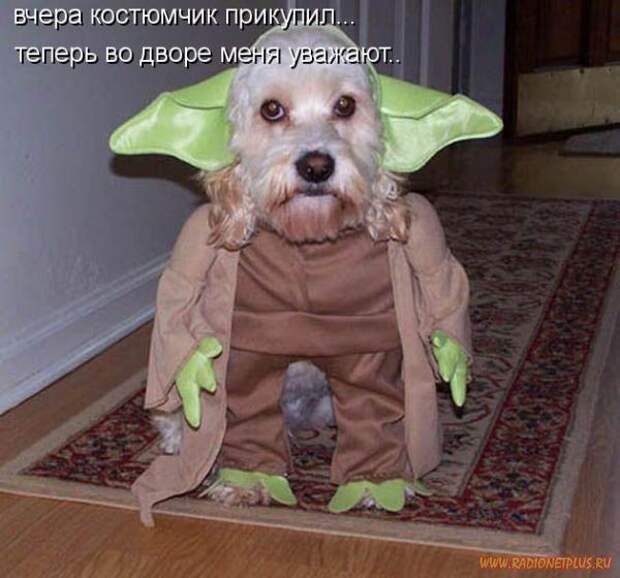 Зверье мое......