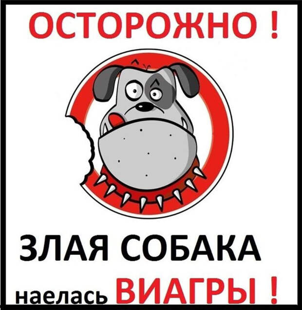 Звучит убедительно: 20 остроумных табличек собака, табличка, юмор