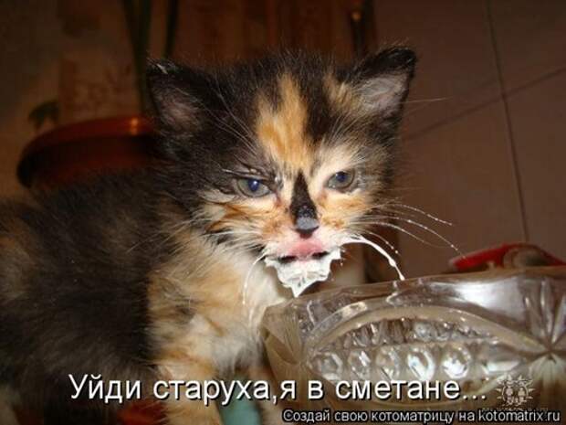 1333783320_kotomatrix-22