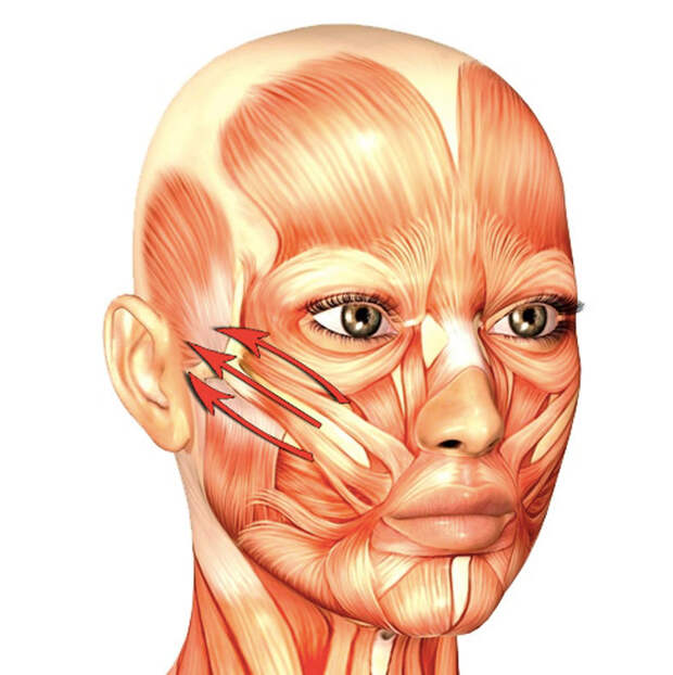 Омолаживающее упражнение «Ленточки»: корректируем натяжение мышц лица