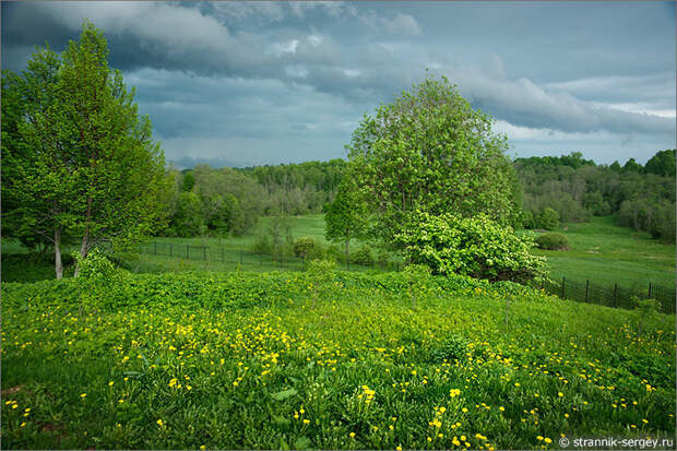 усадьба Тараканово