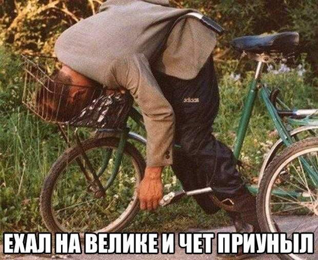 Фразы в картинках. Супер!