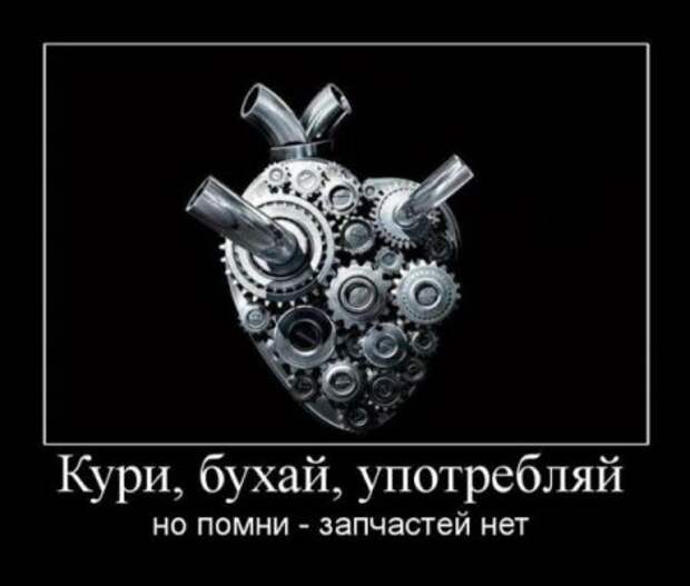 Просто прикольные демотиваторы.