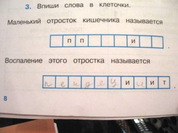 Гениальные ответы детей в школьных тетрадях