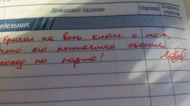 Учительские перлы из школьных дневников дневник, записи, записи в дневниках, школа, юмор