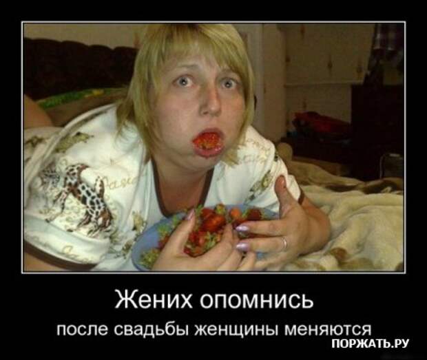 Демы прикольные у нас таких на сайте много.