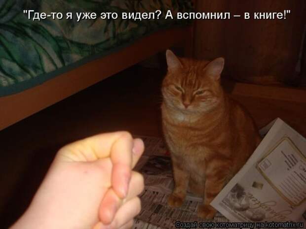 Лучшие котоматрицы недели