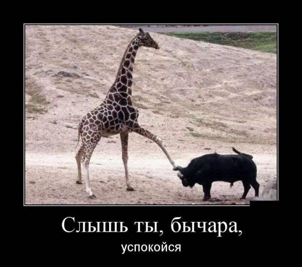 Классная демотивация Классная демотивация