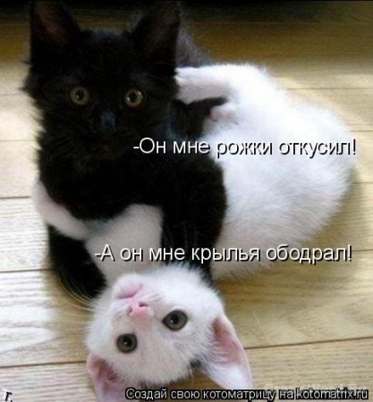 Давайте улыбаться вместе :)