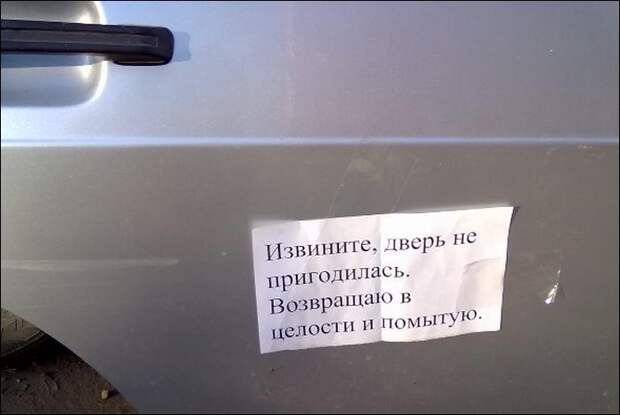 У некоторых совесть все-таки просыпается  вор, животные, прикол, юмор