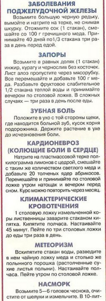 Забытые рецепты рецепт забытый, факты
