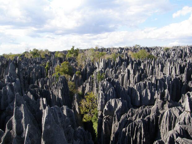 6. Каменный лес на Мадагаскаре интересно, красота, природа, факты, фото