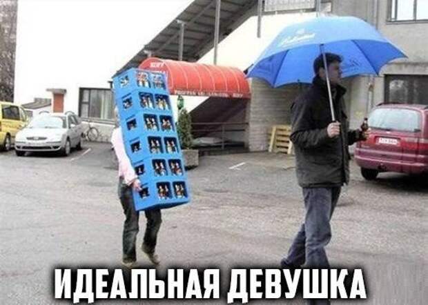 Фразы в картинках. Отличные приколы!