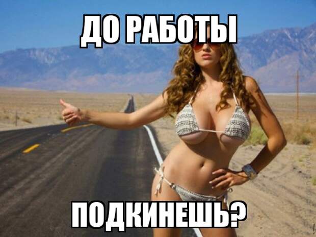 Смешные и свежие картинки с надписями до слез (12 фото)